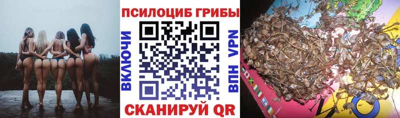 Галлюциногенные грибы ЛСД  Белоозёрский 